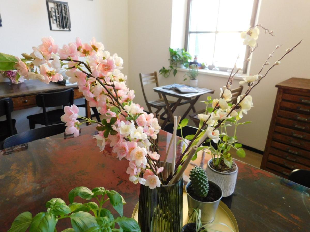 Piumaviola Beds & Apartments Parma Ngoại thất bức ảnh
